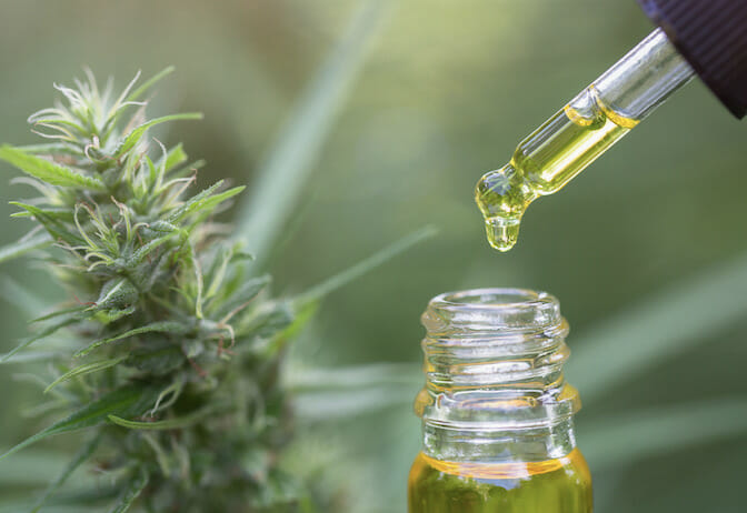 5 Benefits of Hemp Oil — the ECS Demystified for Beginners