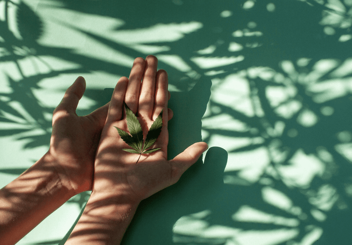 The CBD Benefits for Kids — Why Moms Are Turning to Hemp