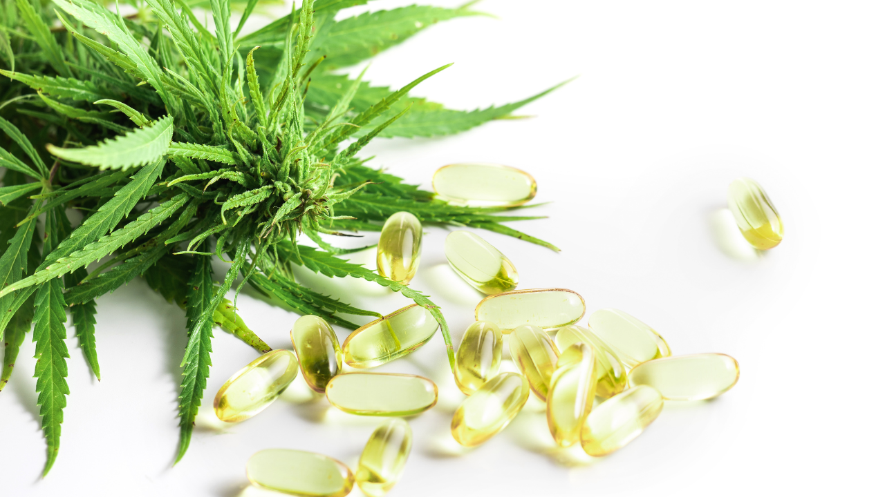 CBD Capsules vs CBD Oil