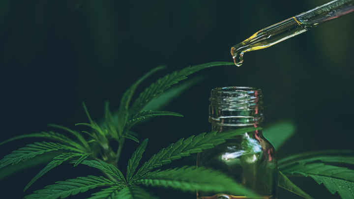 CBD Drink Effects