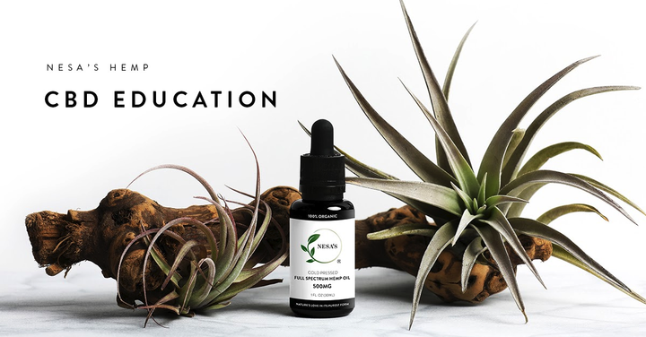 Is Your CBD Oil Damaging Your Body?