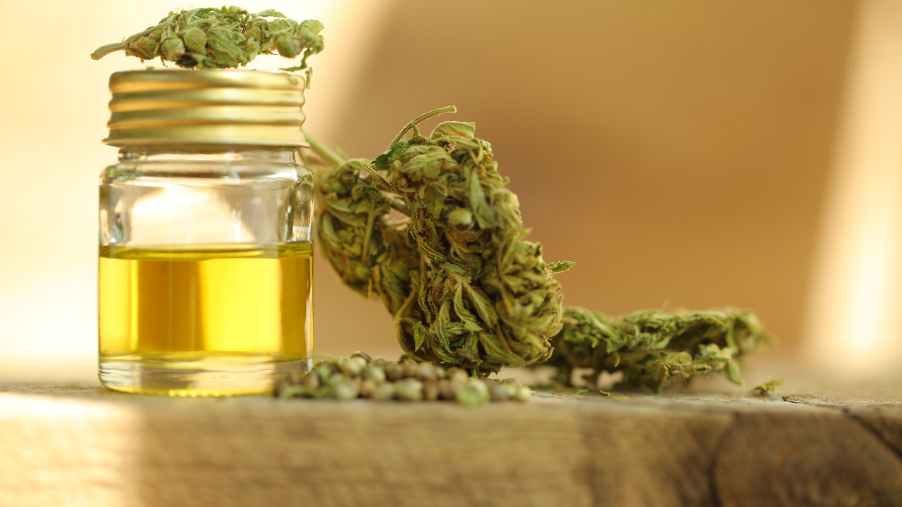 CBD Oil vs CBD Gummies