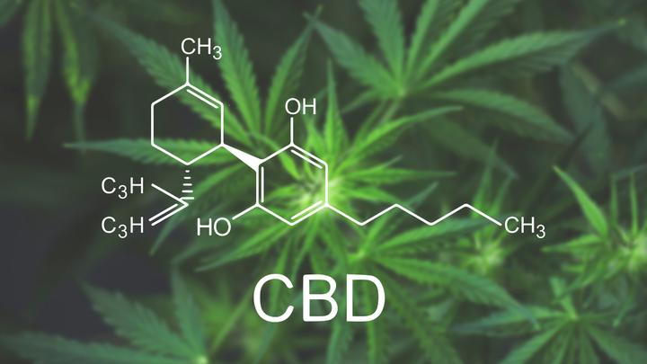 Does CBN Get You High?