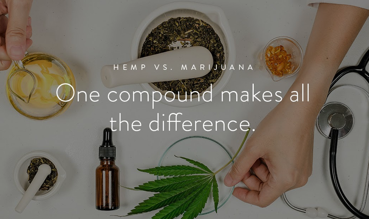 Hemp vs Marijuana