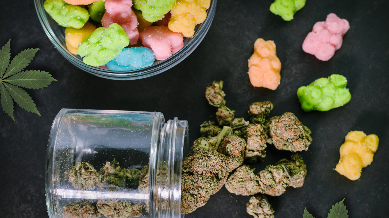 How to Make CBD Gummies at Home?