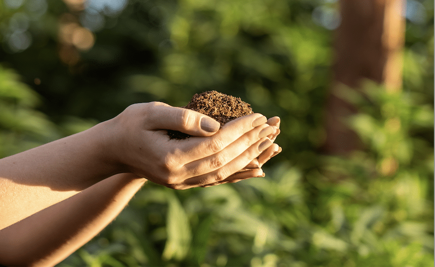 Nature's Wellness Warriors — CBD vs Hemp Oil