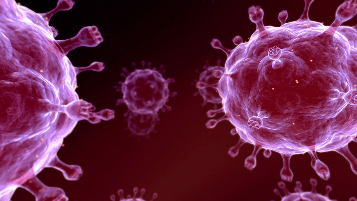 STD Statistics