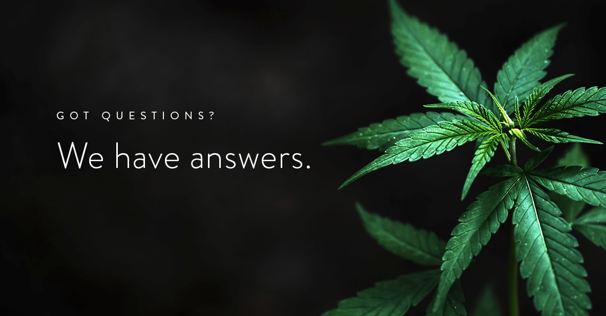 Why Your Hemp Oil Should Taste Like…hemp!