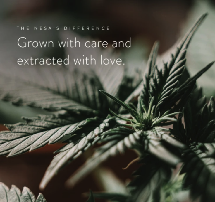 What Is a Certificate of Analysis for CBD Products?