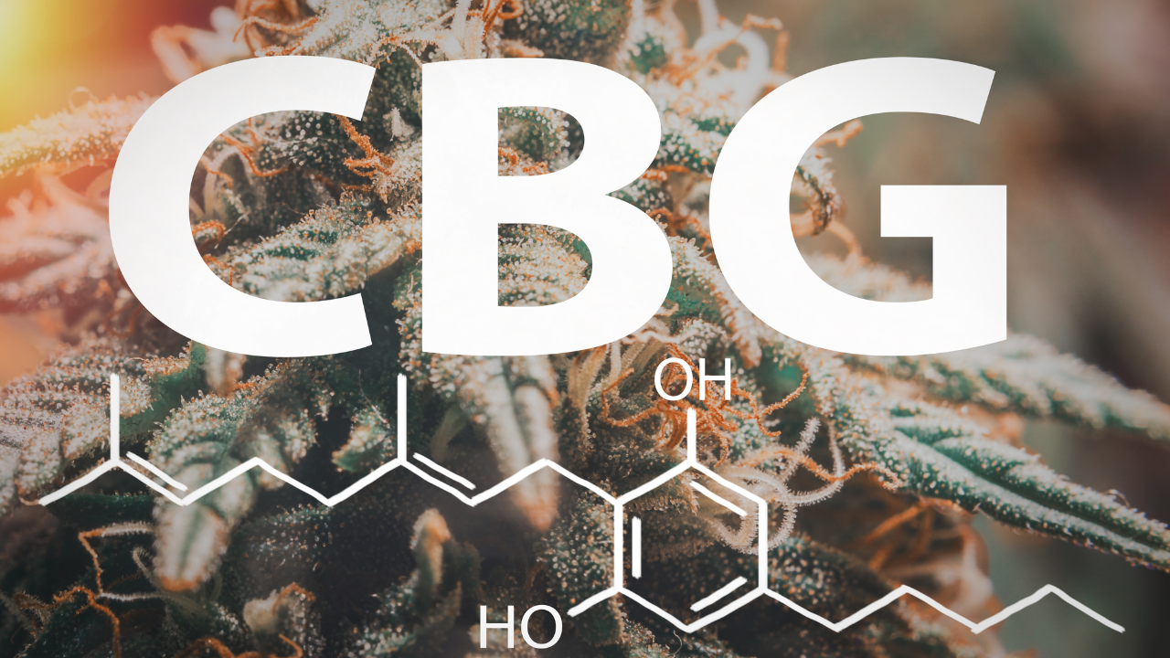 What Is Cannabigerol?