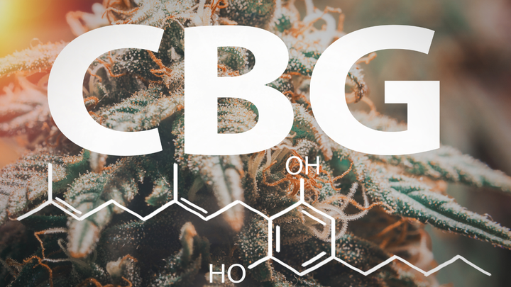 What Is Cannabigerol?