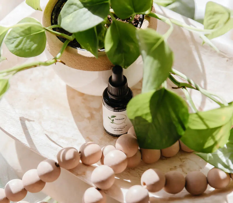 CBDa and Nausea Relief — what the research shows